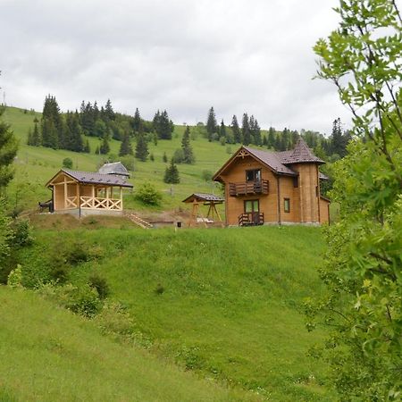 فيلا Пагорб Їжака / Hedgehog Hill يابلونيتسيا المظهر الخارجي الصورة