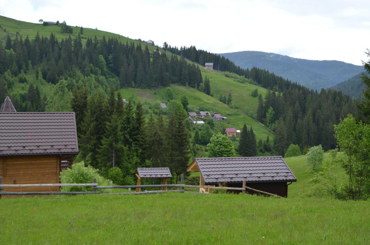 فيلا Пагорб Їжака / Hedgehog Hill يابلونيتسيا المظهر الخارجي الصورة
